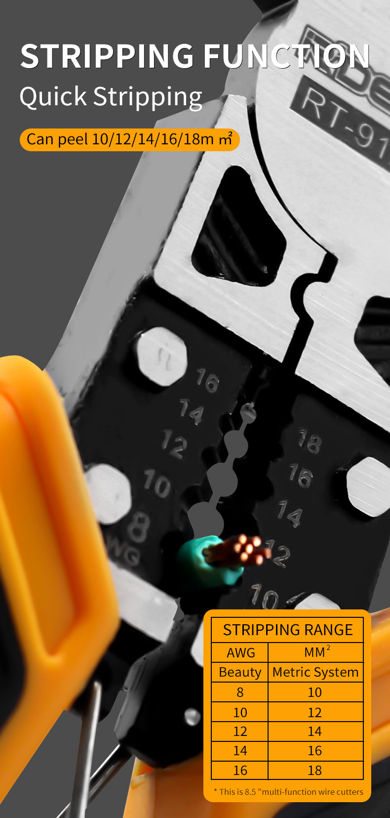 详情----English_10