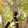 Branch Shears