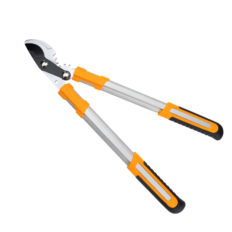 Branch Shears